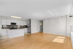512 N McClurg Ct, Chicago, IL 60611 - Photo 10