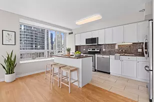 512 N McClurg Ct, Chicago, IL 60611 - Photo 12