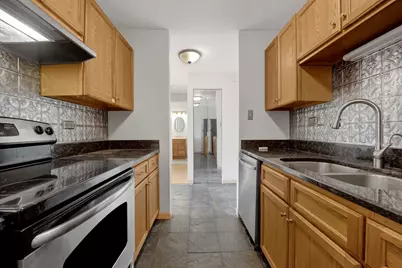 420 Home Avenue #306N, Oak Park, IL 60302 - Photo 10