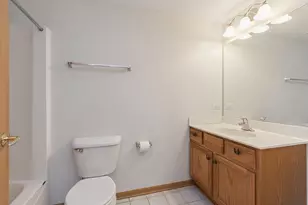 9800 Liberty Cir, Orland Park, IL 60467 - Photo 12