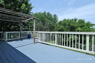 1000 E Ardyce Ln, Mount Prospect, IL 60056 - Photo 18