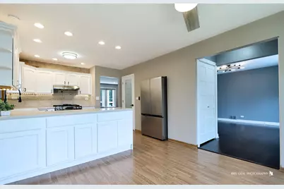 1000 E Ardyce Lane, Mount Prospect, IL 60056 - Photo 12