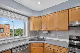 9332 Landings Ln, Des Plaines, IL 60016 - Photo 10