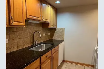 1125 Royal Saint George Drive #102, Naperville, IL 60563 - Photo 2
