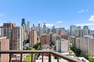 1410 N State Pkwy, Chicago, IL 60610 - Photo 30