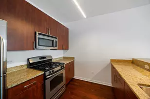 757 N Orleans St, Chicago, IL 60654 - Photo 14