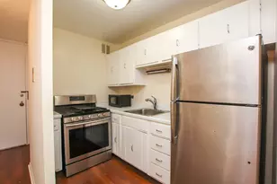 1 E Scott St, Chicago, IL 60610 - Photo 6