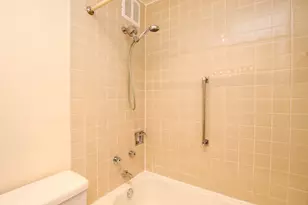 1 E Scott St, Chicago, IL 60610 - Photo 10