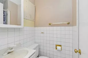 369 N Walnut St, Elmhurst, IL 60126 - Photo 16