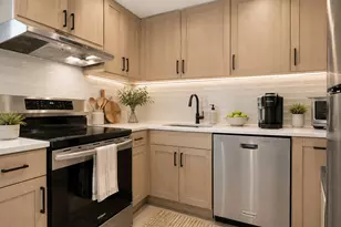 480 N McClurg Ct, Chicago, IL 60611 - Photo 6