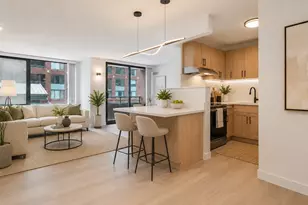 480 N McClurg Ct, Chicago, IL 60611 - Photo 8