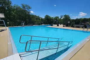 294 Lake Thunderbird Dr, Putnam, IL 61560 - Photo 22