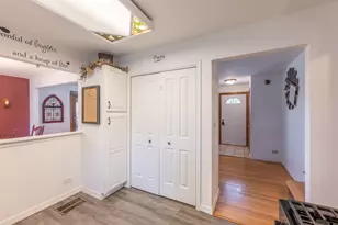 24940 W 103rd St, Naperville, IL 60564 - Photo 10