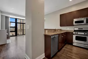101 W Superior St, Chicago, IL 60654 - Photo 20
