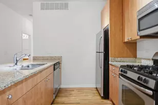 318 E 25th Pl, Chicago, IL 60616 - Photo 10