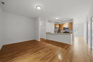 318 E 25th Pl, Chicago, IL 60616 - Photo 8