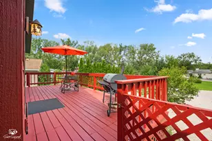 138 Little Musky Cir, Wilmington, IL 60481 - Photo 20