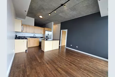 1620 S Michigan Avenue #322, Chicago, IL 60616 - Photo 4