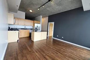 1620 S Michigan Ave, Chicago, IL 60616 - Photo 4
