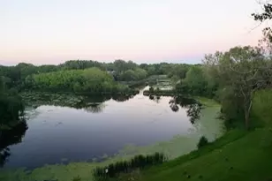 505 Redondo Dr, Downers Grove, IL 60516 - Photo 28