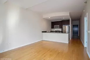303 W Ohio St, Chicago, IL 60654 - Photo 8