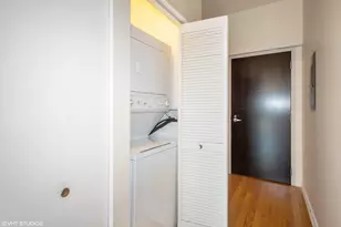 303 W Ohio St, Chicago, IL 60654 - Photo 12