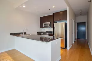 303 W Ohio St, Chicago, IL 60654 - Photo 2