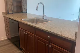 9655 Woods Dr, Skokie, IL 60077 - Photo 8