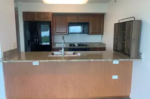 9655 Woods Dr, Skokie, IL 60077 - Photo 10