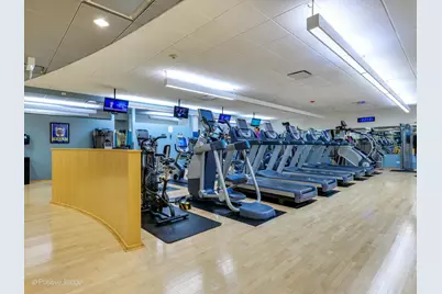 505 N Lake Shore Drive #4901-12, Chicago, IL 60611 - Photo 36