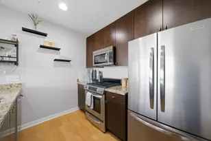 303 W Ohio St, Chicago, IL 60654 - Photo 4