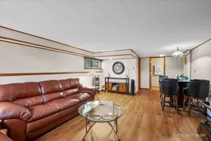 24 W Devon Ave, Roselle, IL 60172 - Photo 22