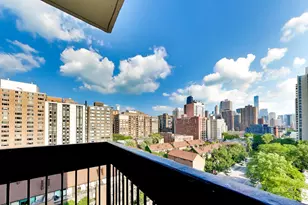 1355 N Sandburg Terrace, Chicago, IL 60610 - Photo 20