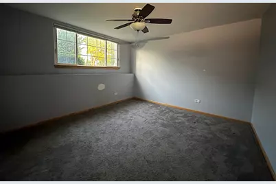 536 Meadow Lily Drive, Joliet, IL 60431 - Photo 18