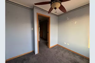 536 Meadow Lily Drive, Joliet, IL 60431 - Photo 16