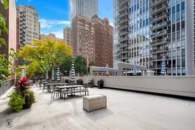 200 E Delaware Place #5A, Chicago, IL 60611 - Photo 20