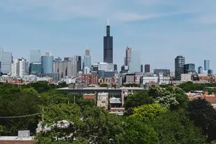 224 S Ashland Ave, Chicago, IL 60607 - Photo 18