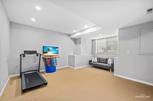 1123 Pine Valley Ct, Elgin, IL 60124 - Photo 20