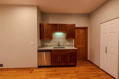 2625 N Richmond Street, Chicago, IL 60647 - Photo 26