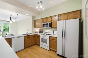259 Mill St, Batavia, IL 60510 - Photo 4