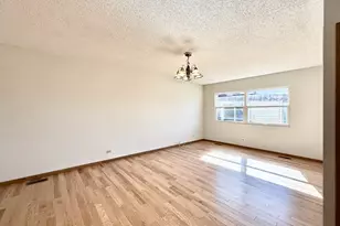 222 W 26th St, Chicago, IL 60616 - Photo 8