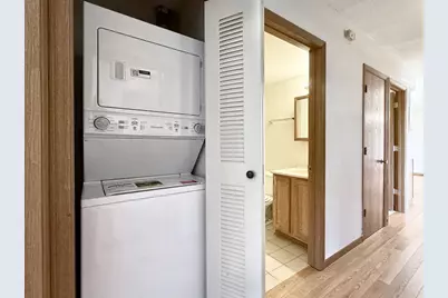 222 W 26th Street #205, Chicago, IL 60616 - Photo 18