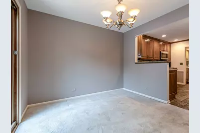 230 Parktrail Court, Schaumburg, IL 60173 - Photo 14