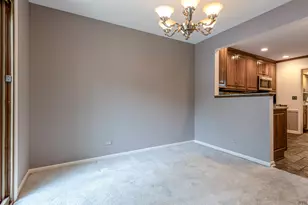 230 Parktrail Ct, Schaumburg, IL 60173 - Photo 14