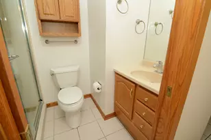 9925 Amanda Ln, Algonquin, IL 60102 - Photo 24