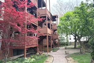346 N Austin Blvd, Oak Park, IL 60302 - Photo 4