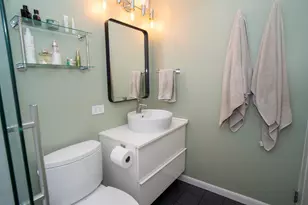 21 W Goethe St, Chicago, IL 60610 - Photo 12
