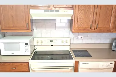 8106 Marion Drive #1W, Justice, IL 60458 - Photo 8