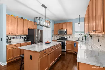 1164 Dorr Drive, Sugar Grove, IL 60554 - Photo 10