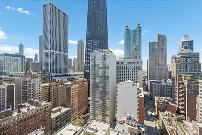 910 N Lake Shore Drive #2820, Chicago, IL 60611 - Photo 30